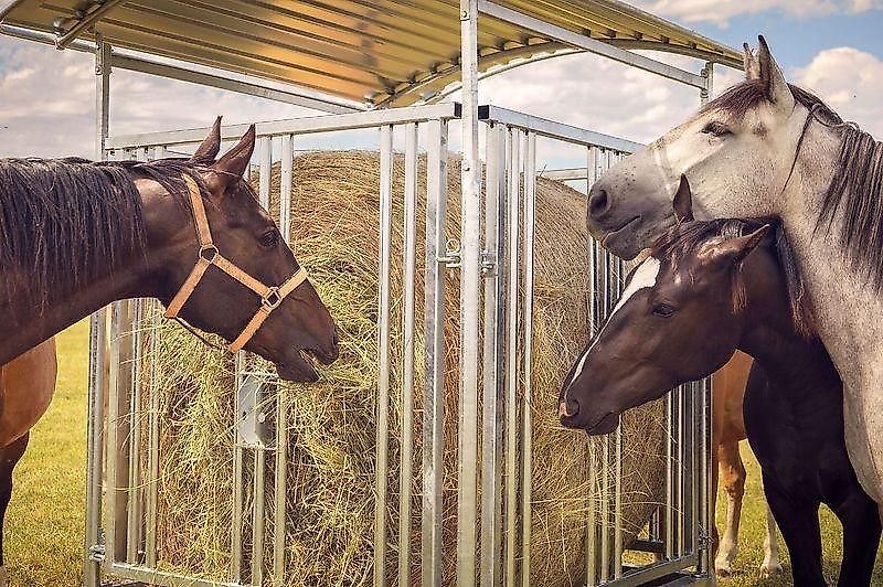 MC-AGRI Futterraufe für Pferde verzinkt mit 12 Stellen M2/12